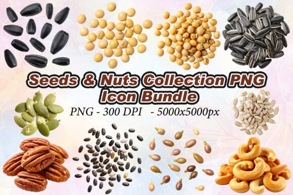 Seeds Nuts Collection PNG: High-Res 3D Icons